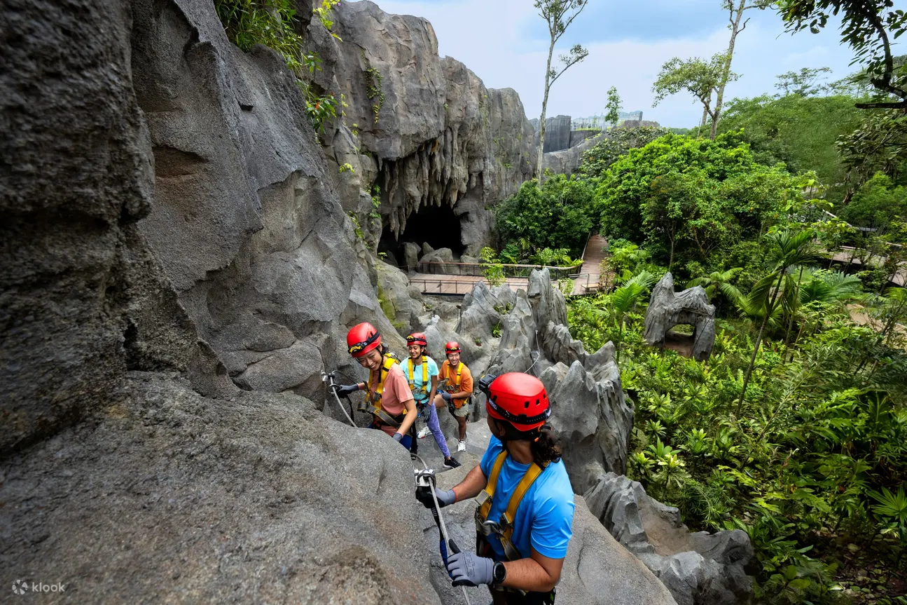 Rainforest Wild ASIA